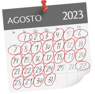 quero quero (1) 3