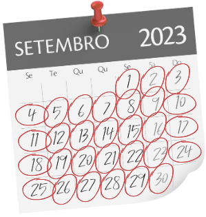 quero quero (1) 4