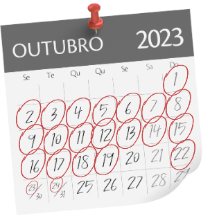 quero quero (1) 5