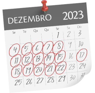 quero quero (1) 7