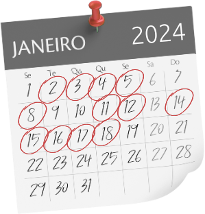 quero quero (1) 8